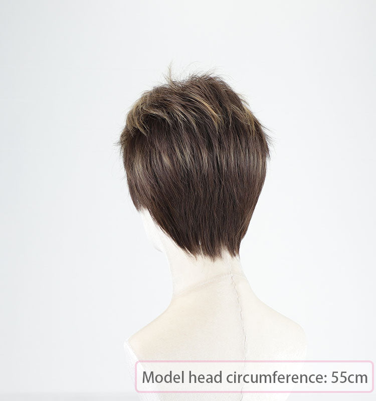 Doris - Wigyy Pixie Cut Hairstyles Daily Use Straight Elegant Wigs